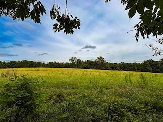 496 County Road 496, Lexington, AL 35648