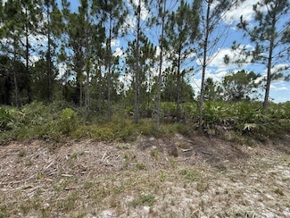 16483 NW 302nd St, Okeechobee, FL 34972