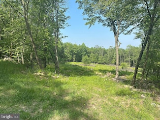 45 Youngwood Ln, Grantsville, MD 21536