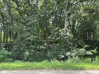 834 Lake Wildwood Dr, Varna, IL 61375