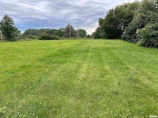 8199 256th St N, Port Byron, IL 61275