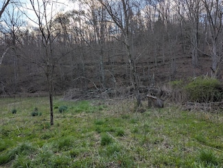 31a Rock Creek Ln, Glen Daniel, WV 25844