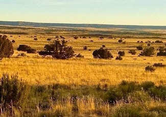 U S Highway 191, Sanders, AZ 86512