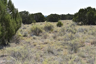 18 Crest Ln, Concho, AZ 85924