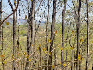 TBD Yellow Locust Dr, Fancy Gap, VA 24328