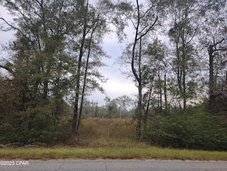 00 Pioneer Rd, Chipley, FL 32428
