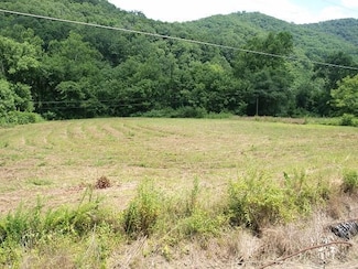 00 Ky Rt 122, McDowell, KY 41647