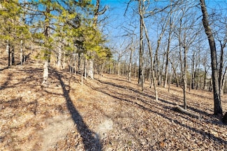 1.45 E 5th St, Fayetteville, AR 72701