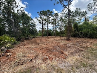27242 Mandarin Dr, Punta Gorda, FL 33955
