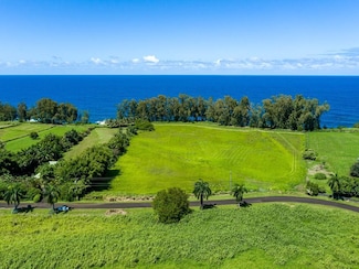28-3278 Beach Rd, Pepeekeo, HI 96783