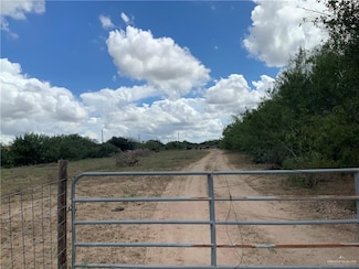 9680 N Bentsen Palm Dr, Palmview, TX 78574