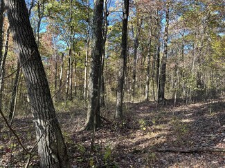 TBD Crane School Rd, Albright, WV 26519