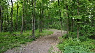 0000 Grudgeville Rd, White Lake, WI 54491