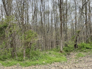 Lot #46 Laredo Dr, London, KY 40741