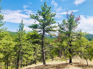 0 Upper Sawmill Creek Rd Unit 337187, Cascade, MT 59421