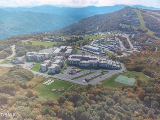 301 Pinnacle Inn Rd Unit 2209, Beech Mountain, NC 28604