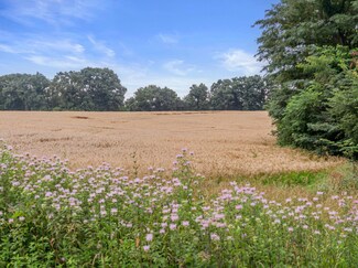 TBD Hwy Nn (22 Acres + -), Pilot Grove, MO 65276