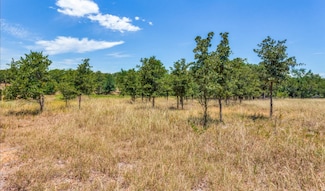 271 Creek Meadow Ct, Lipan, TX 76462