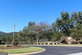 0 Orchard Hills Dr Unit LOT 33 10417244, Clarkesville, GA 30523