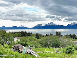 L2 W Fairview Ave, Homer, AK 99603