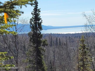 5351 Cannon Woods Rd, Anchorage, AK 99516