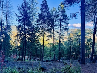 501 Elder Mill Rd, Trail, OR 97541