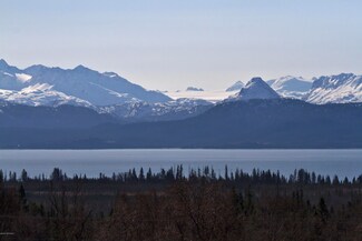 000 Cannonball Cir, Fritz Creek, AK 99603