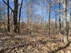 0 Old Tobaccoport Rd Unit RTC2490211, Bumpus Mills, TN 37028