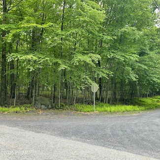 147 Ledgeway Dr, Dingmans Ferry, PA 18328