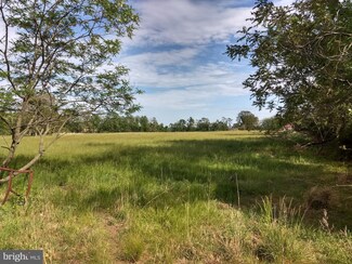 19960 Foggy Bottom Rd, Bluemont, VA 20135