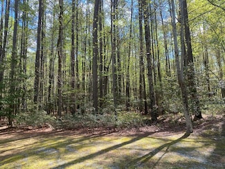 46 Eagles Trace, Lancaster, VA 22503