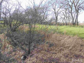 000 County, Lacon, IL 61540