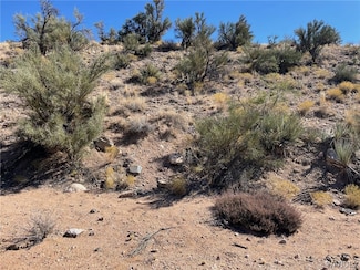 5 E Acres I 40 Silver Springs, Kingman, AZ 86409