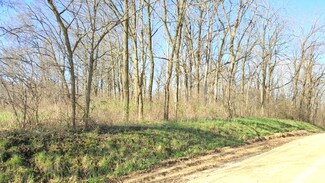45.61 Ac Apple Branch Rd, Argyle, WI 53504