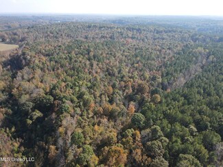 0 County Road 2, Myrtle, MS 38650