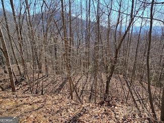 Lot 11 High Meadows Dr Unit 11, Hayesville, NC 28904