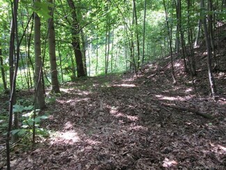 00 Fork Ridge Run Rd, Bakersville, NC 28705