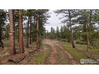 219 Yuki Dr, Red Feather Lakes, CO 80545