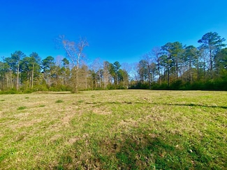 665 Lake Side Dr, Etoile, TX 75944