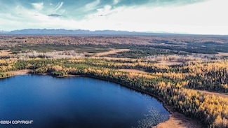 GL 4 Cisca Lake, Soldotna, AK 99669