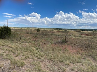0 Us Route 66, Newkirk, NM 88431