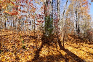 na High Point View Rd, Scaly Mountain, NC 28775