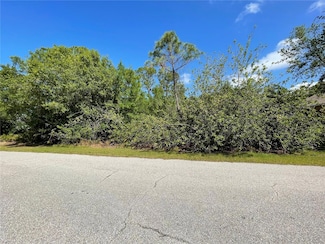 23430 Racine Ave, Port Charlotte, FL 33980