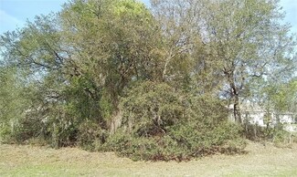 6036 N Bedstrow Blvd, Dunnellon, FL 34434