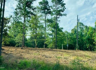 00 Tall Pines Dr, Wiggins, MS 39577