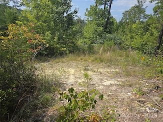 25 Round Mountain Rd, Brevard, NC 28712