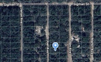 0 Joel Ave, Interlachen, FL 32148