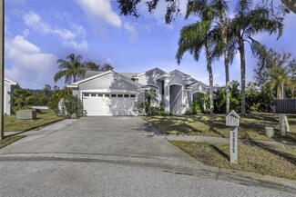 2655 Oleander Ct, Palm Harbor, FL 34684