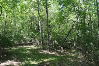 Bedsaul Road Lot Unit WP001, Galax, VA 24333