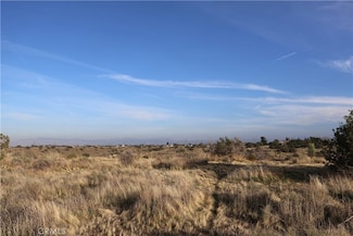 9955 Macron St, Oak Hills, CA 92344